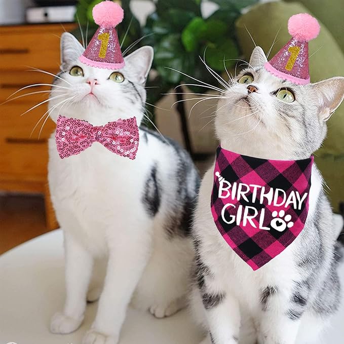 STMK Cat Birthday Decorations, Cat Birthday Hat - Image 6