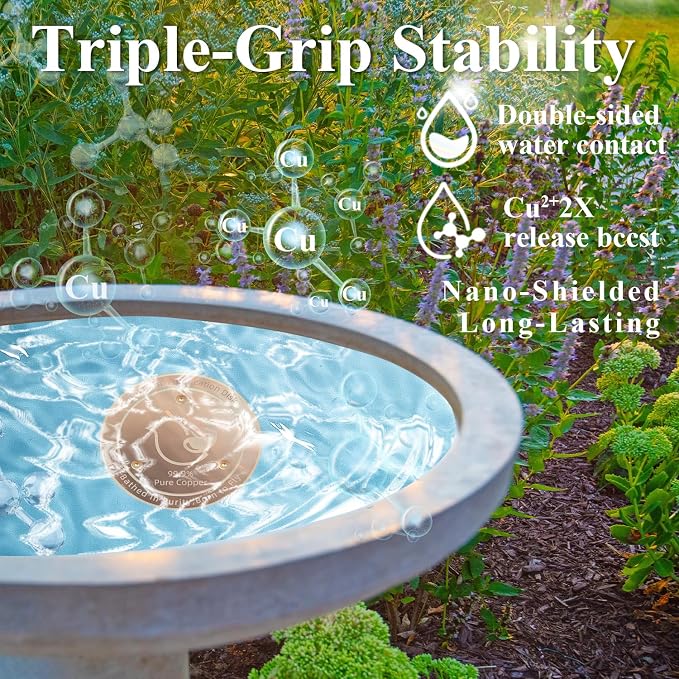 Copper Bird Bath Disks, 4.2" Large Surface, Year-Round Water Cleanliness - Image 5