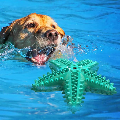 Chew Toy for Dog Toothbrush Stick Dog Toys for Aggressive Chewers Interactive - Image 5