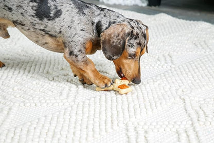Chew ‘n Clean Chew Toy and Treat in One Chicken Flavored Tri-Point Dog Toy - Image 6