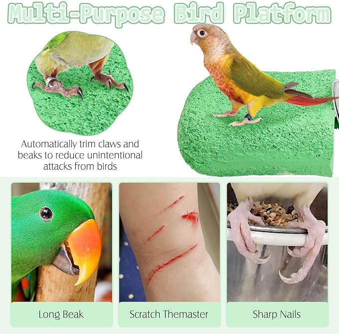 PINVNBY 5 Pack Bird Perch Resin Bird Beak Grinding Stone Parrot Cage Stand - Image 4