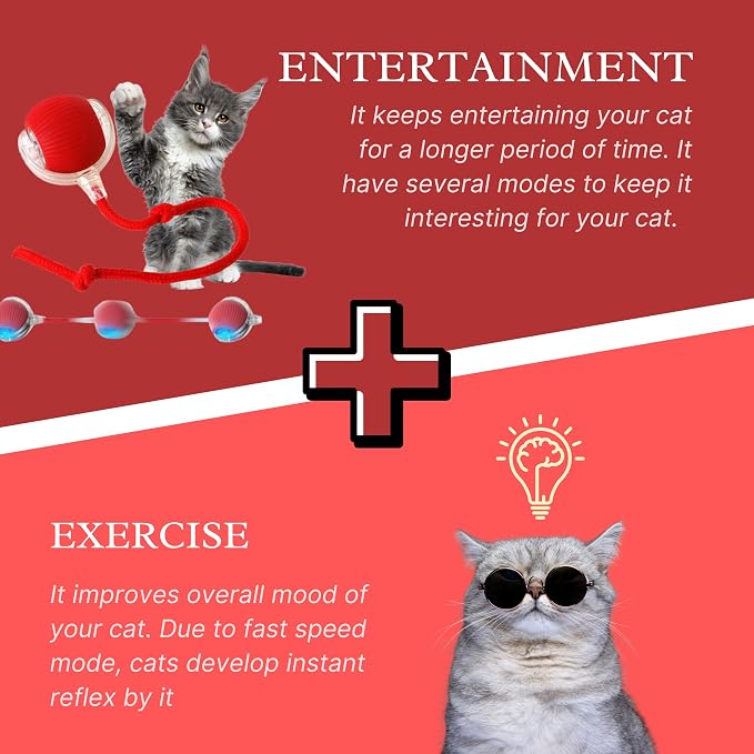 Speedy Tail 2.0 Cat Toy, 360°Automatic Rolling Ball, Smart Interactive Cat Toy - Image 3