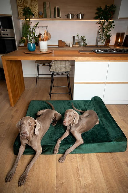 NOAH & PAW Giant Dog Bed XXL 55x45x9.5 Inch, Orthopedic Dog Beds, Eggshell - Image 8