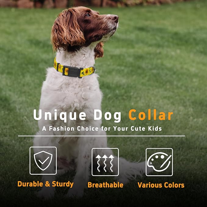 Dog Collar, Floral Puppy Collar - Image 5