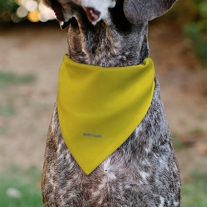 Peanuts Pet Bandana Peanuts Woodstock Pose Close Up Yellow Slip On Collar - Image 5