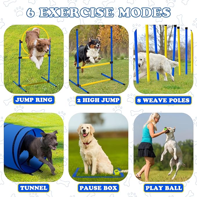 Dog Agility Course Backyard Set，Dog Agility Equipment, Dog Obstacle Course - Image 3