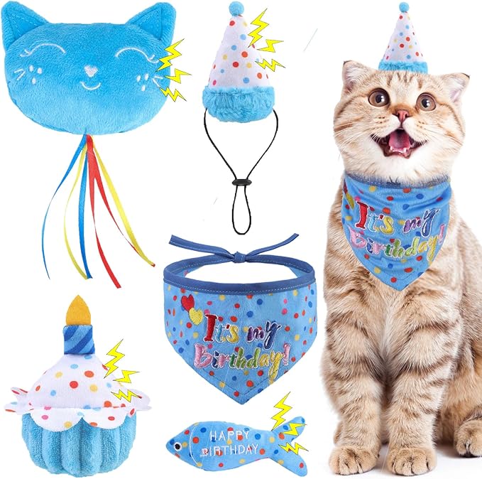 BINGPET Cat Birthday Catnip Toys by BINGPET