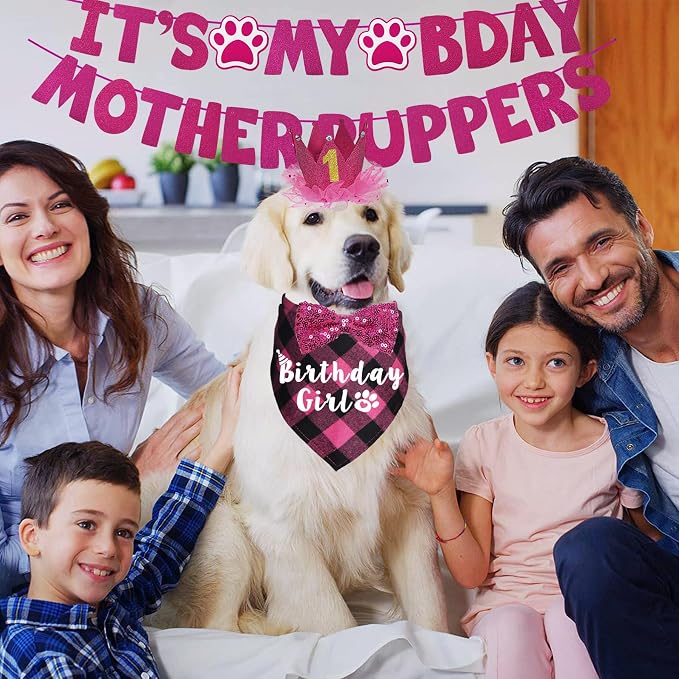 Dog Birthday Decorations - Image 7