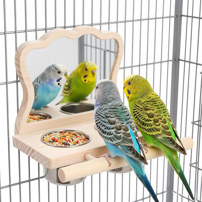 Feeder with Acrylic Mirror & Stainless Steel Bowls, Natural Wood Perch by SMICEM