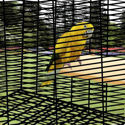 4 Pack 5 x 12 Inches Bird Perches - Image 6