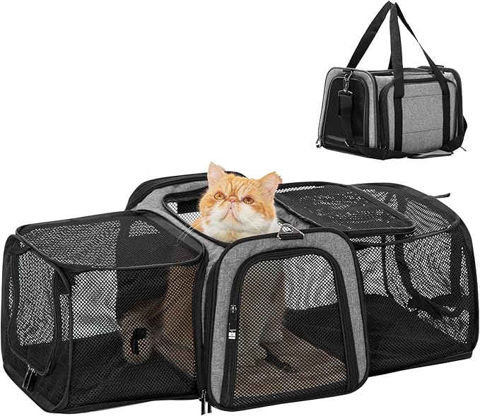 Petsfit 17" x 11" x 11" Airline-Approved Expandable Pet Carrier, 2X Square by Petsfit