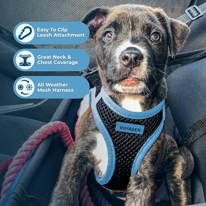 Best Pet Supplies - Image 3