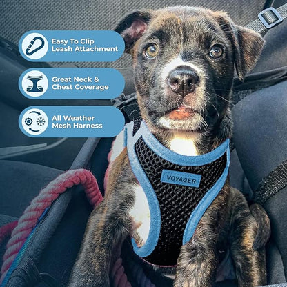 Best Pet Supplies - Image 3