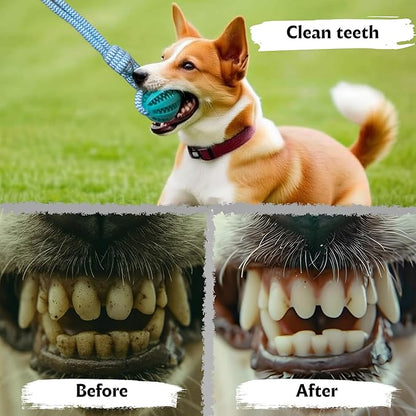 Flirt Pole for Dogs, Tether Tug Outdoor Dog Toy, Interactive Toys for Large - Image 7
