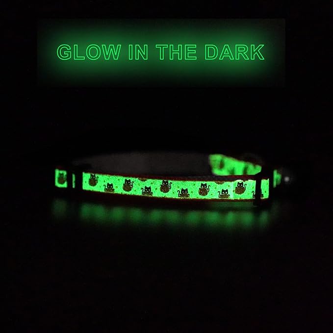 Pawtitas Halloween Cat Collars for Cats Adjustable Collar Glow in The Dark - Image 8
