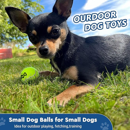 Tennis Balls for Dogs - Image 2
