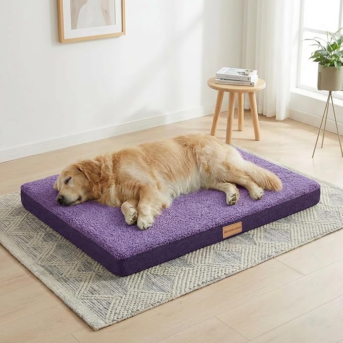 Patas Lague Orthopedic XL Dog Bed Large Sized Dog 42''X28'', Soft Waterproof by PatasLague