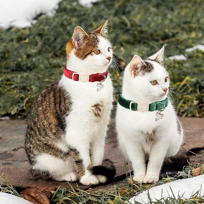 ARING PET 2 Pack Cat Collars-Cute Breakaway Cat Collar - Image 4