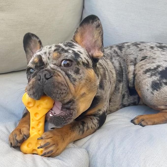 Nylabone Cheese Bone Power Chew Toy - Image 15