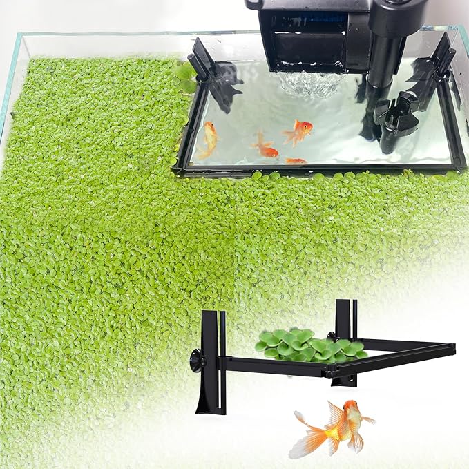 Aquarium Floating Plant Barrier, Floating Plant Corral Self Adjusts to Water by Pryitier