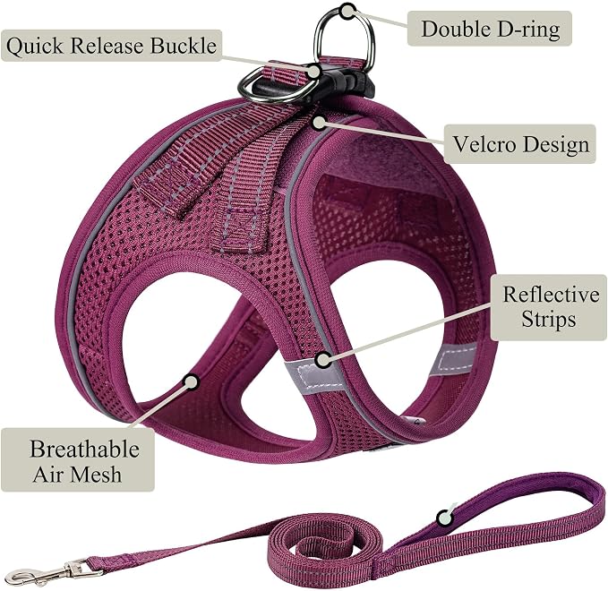 Dog Harness with Leash Set, No Pull Adjustable Reflective Step-in Puppy Pet - Image 2