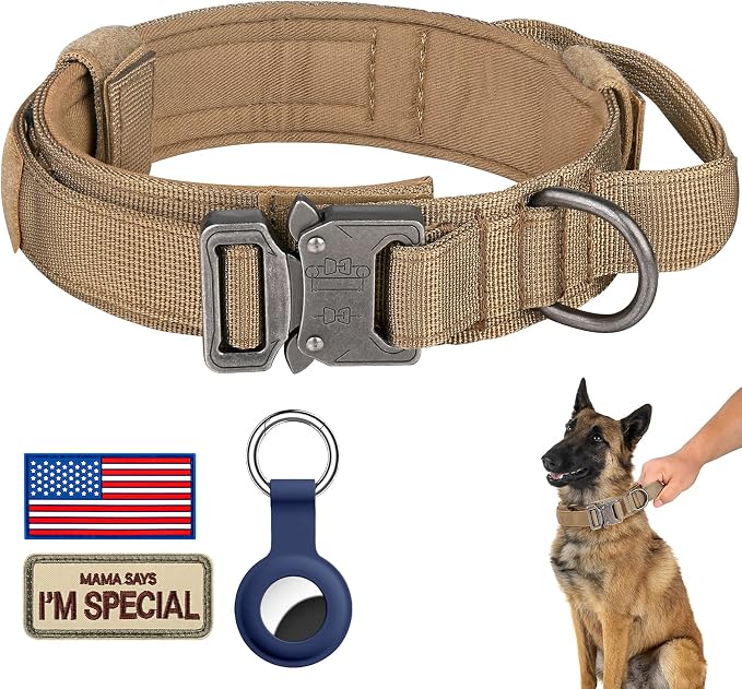 DAGANXI Tactical Dog Collar, Adjustable Military Training Nylon Dog Collar by DAGANXI