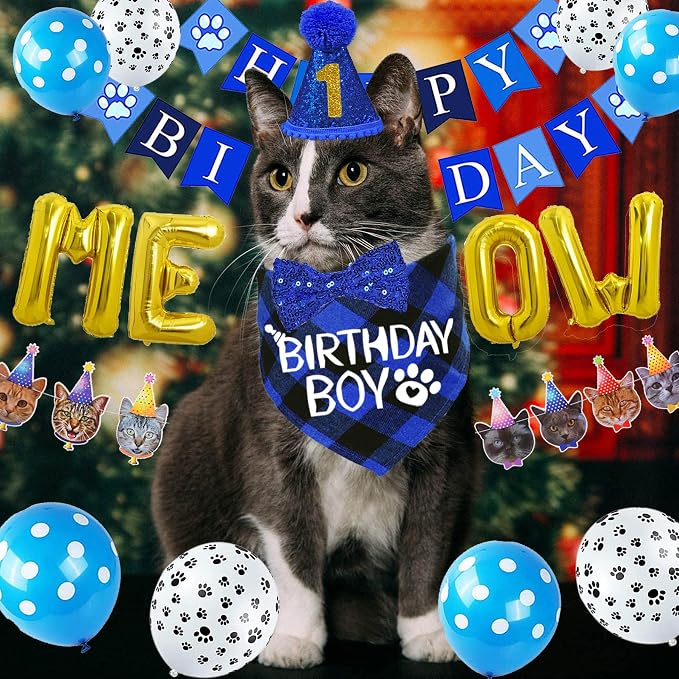 STMK Cat Birthday Party Supplies, Cat Birthday Hat - Image 2