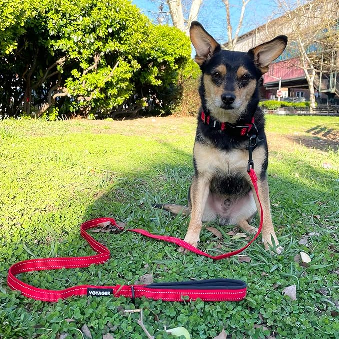 Best Pet Supplies Voyager Reflective Dog Leash or Collar - Image 5