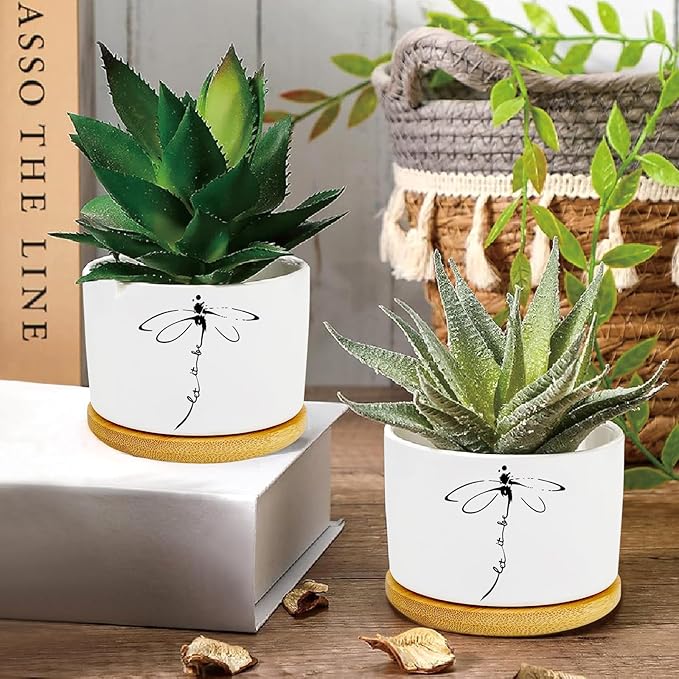 Window Garden Dragonfly Planter Pots, Dragonfly Gifts - Image 2