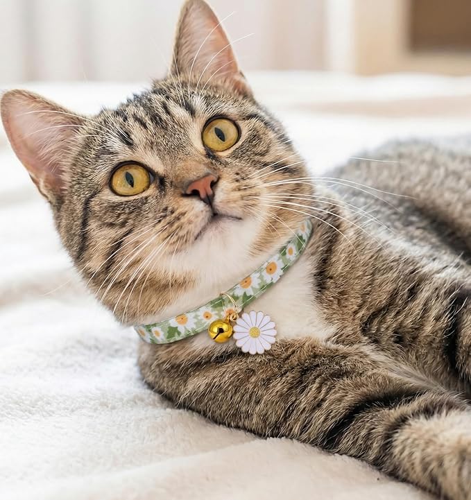 2 Pack Cat Collar Breakaway, Daisy Collar - Image 6