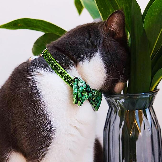 2 Pack St. Patrick's Day Irish Cat Collar - Image 5