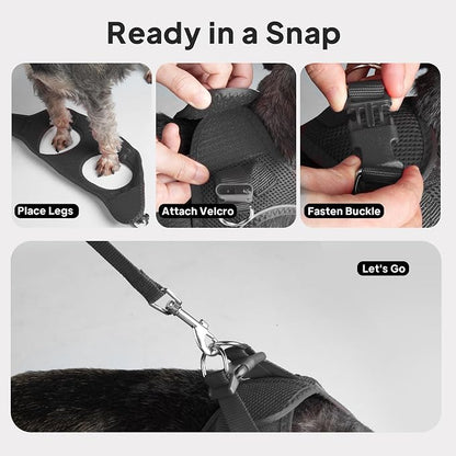PetiFine Extra Small Step in Dog Harness and Leash Set, Cat Harness and Leash - Image 8