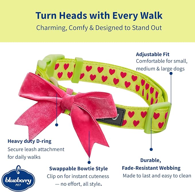 Blueberry Pet Adjustable Flocking Dog Collar - Image 2