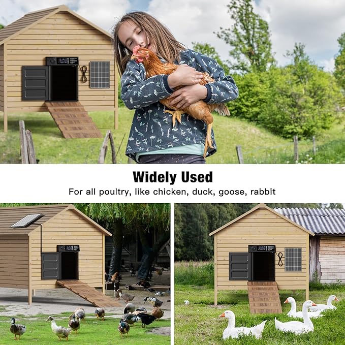 Automatic Chicken Coop Door, Large Size Solar Powered Coop Door - Image 6