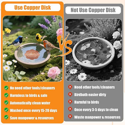 2P 4inches Bird Bath Purification Disk, 99.99% Pure Copper Bird Bath Disc Safe - Image 6