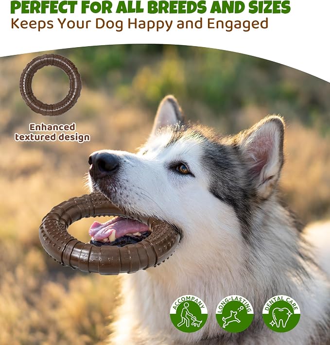 Tough Dog Chew Toy for Aggressive Chewers, Indestructible Beef Flavor Nylon Bone - Image 2