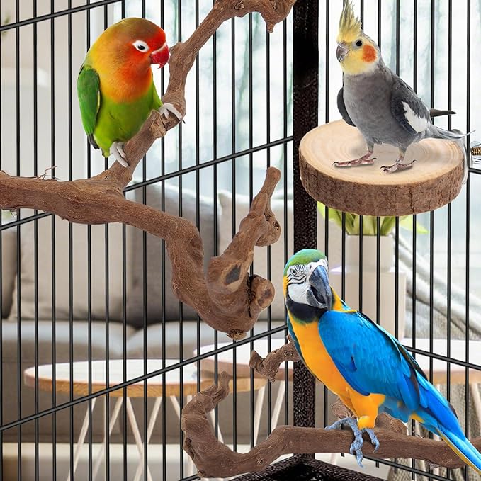 Parrot Perch Bird Perch Stand Set Natural Wild Wood Grape Sticks Paw Grinding - Image 5