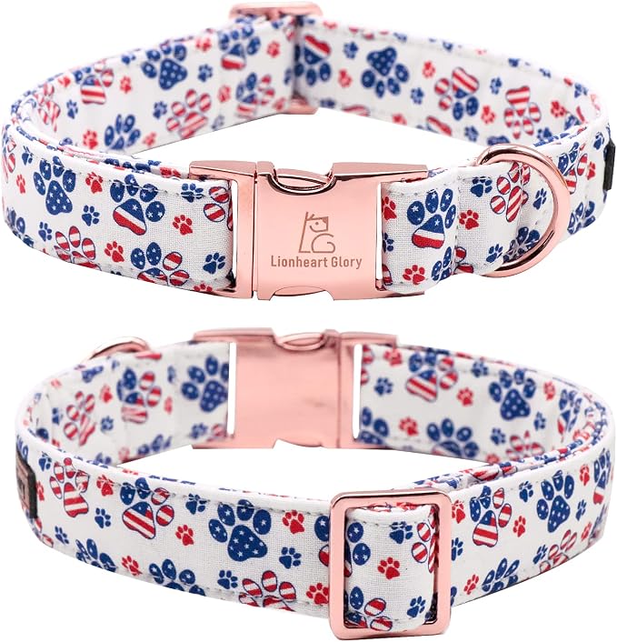 Lionheart Glory American Flag Dog Collar - Image 3