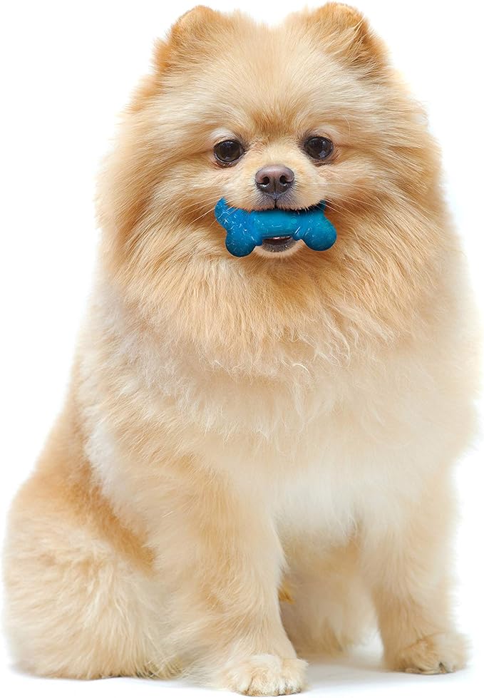 Nylabone Moderate Chew Flexi Chew Bone Peanut Butter & Bacon XX-Small/Tiny - Image 4