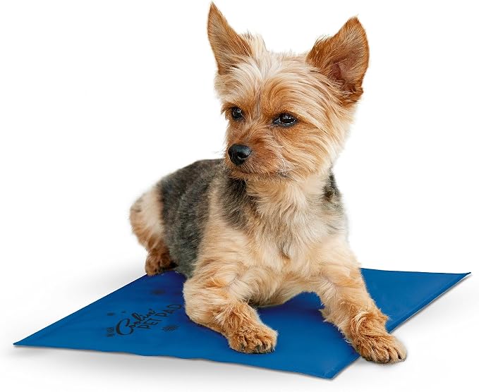 K&H Pet Products Coolin' Pet Pad Blue Small 11 X 15 Inches by KHPetProducts