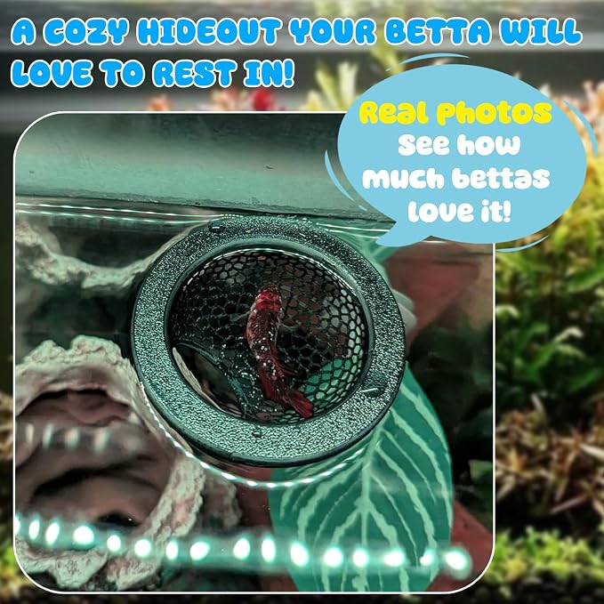 Floating Betta Hide & Shrimp Cave – 3D Printed Aquarium Decor, Feeding Ring & - Image 8