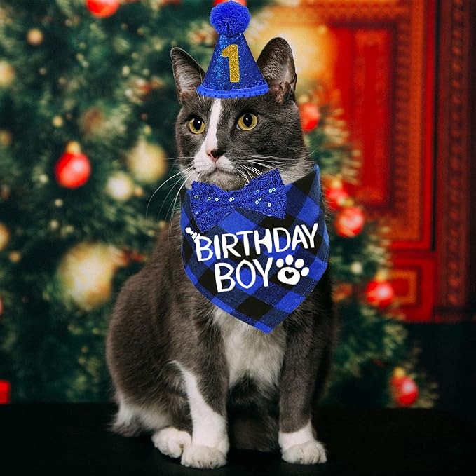 STMK Cat Birthday Decorations, Cat Birthday Hat - Image 2