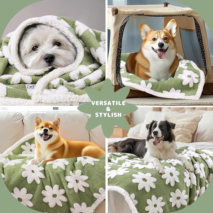 Luciphia Waterproof Pet Blanket - Image 4