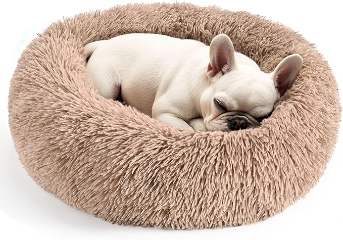 Hoewina Dog & Cat Bed for Indoor Cats, 20in Calming Donut Bed for Puppy and by Hoewina