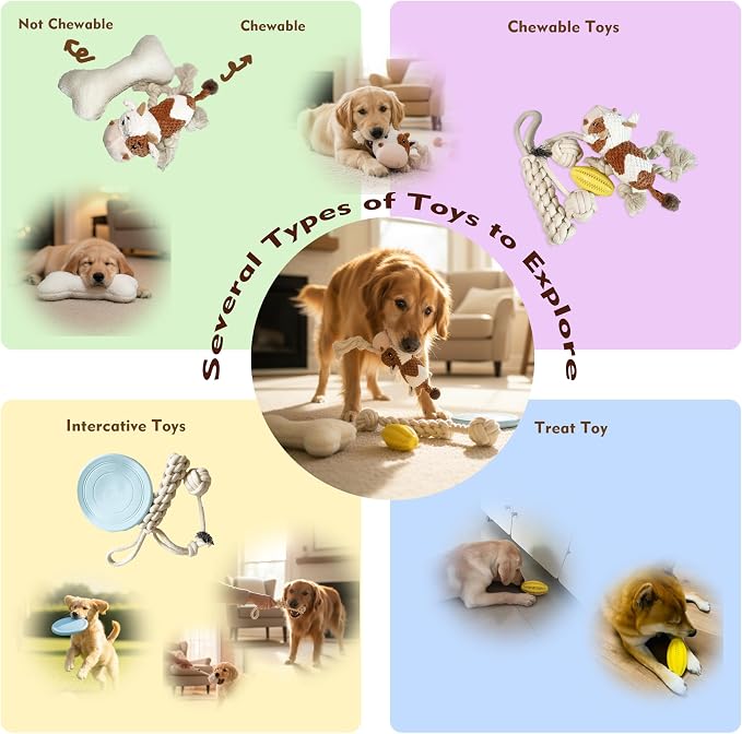 Welcome Home Dog Gift Basket - Image 7