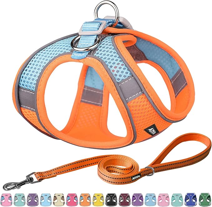 AIITLE No Pull Dog Harness and Leash Set, Step in Adjustable Dog Harness by AIITLE-FORPETSBETTERLIFE