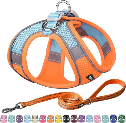 AIITLE Easy Walk Dog Harness and Leash Set by AIITLE-FORPETSBETTERLIFE