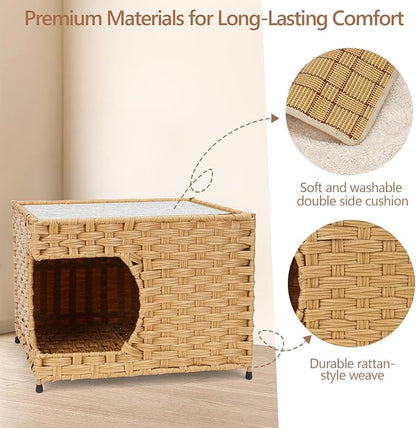 Cat House for Indoor Cats - Image 3