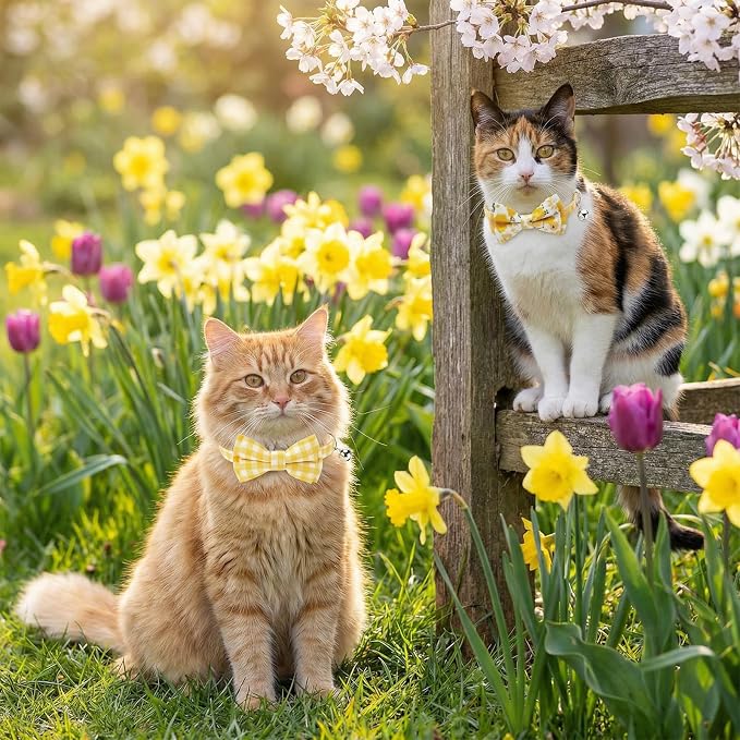 10 Pcs Spring Cat Collar Breakaway - Image 6