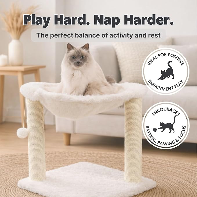 TRIXIE Baza XXL Cat Scratching Posts, Indoor Cat Furniture - Image 5